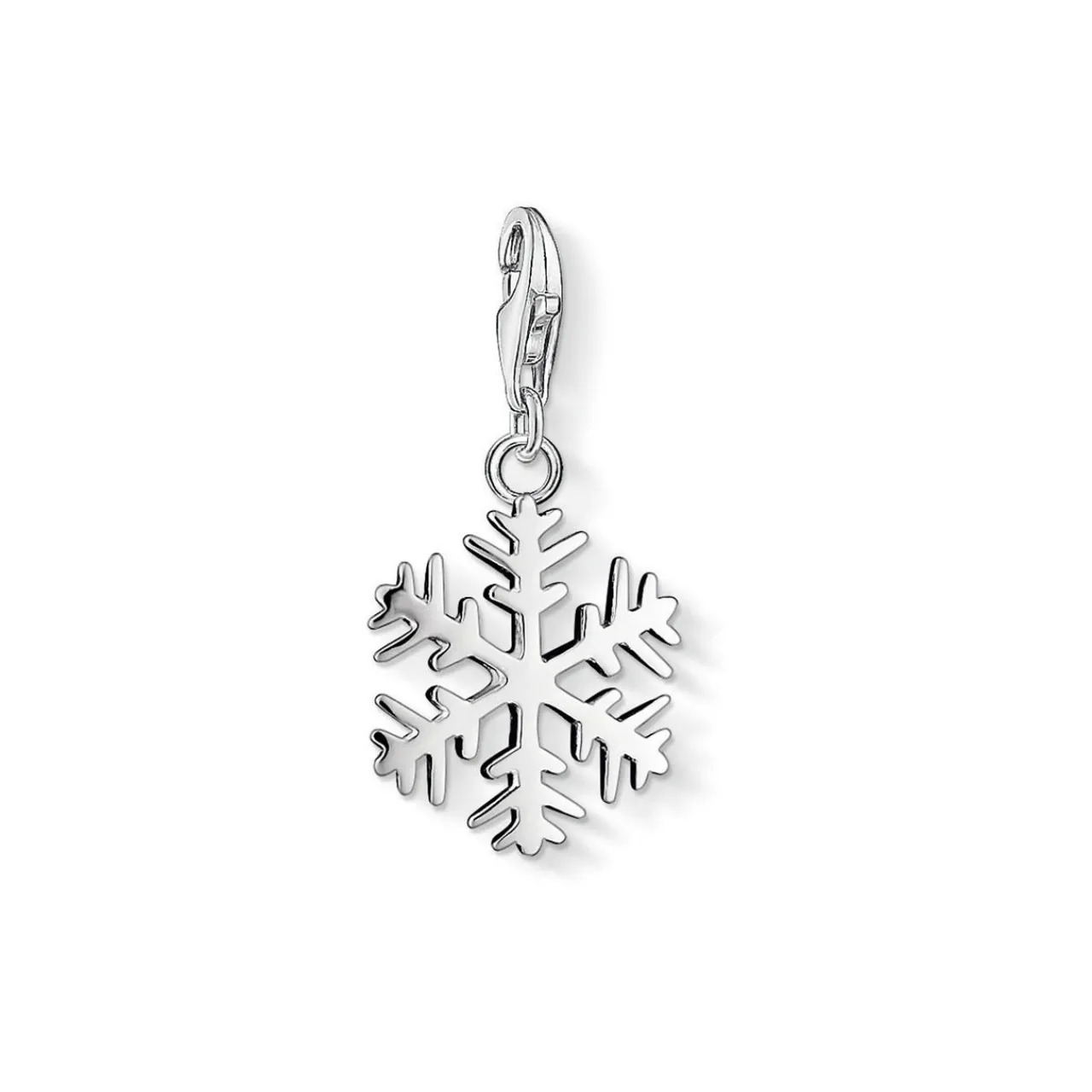 Snowflake Charm Women Charms