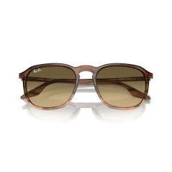 Square Sunglasses RB2203 Women Sunglasses