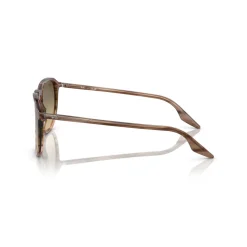Square Sunglasses RB2203 Women Sunglasses