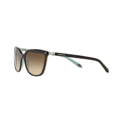 Clearance Square Sunglasses TF4105HB Women Sunglasses