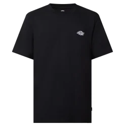Hot Summerdale Logo Round Neck T-Shirt Women Tops