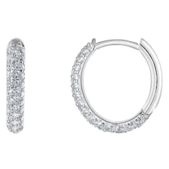Clearance Zirconia Pavé Hoop Earrings Women Earrings